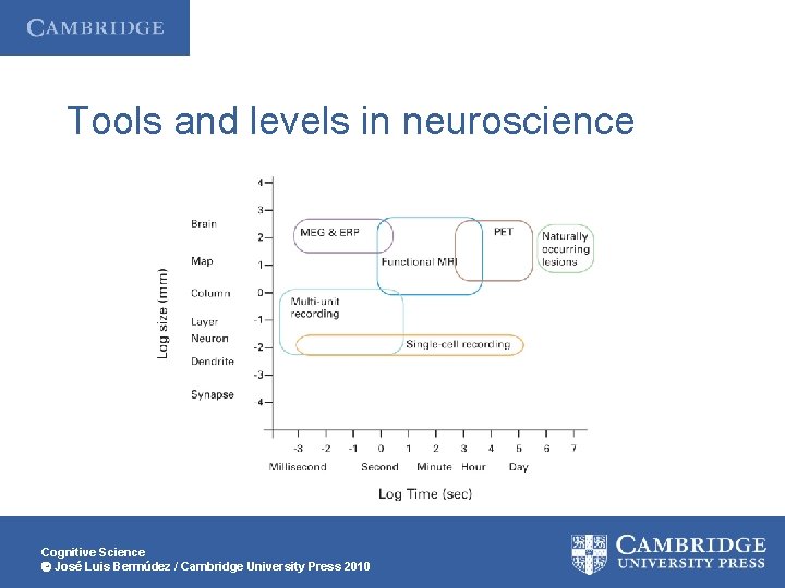 Tools and levels in neuroscience Cognitive Science José Luis Bermúdez / Cambridge University Press