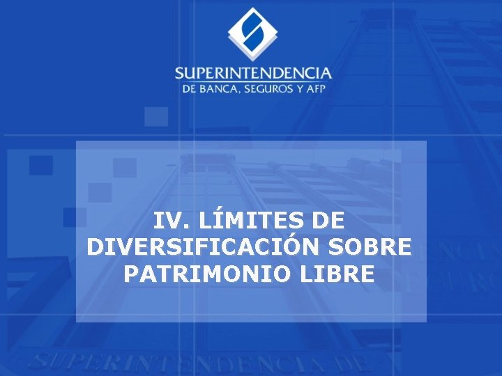 IV. LÍMITES DE DIVERSIFICACIÓN SOBRE PATRIMONIO LIBRE 