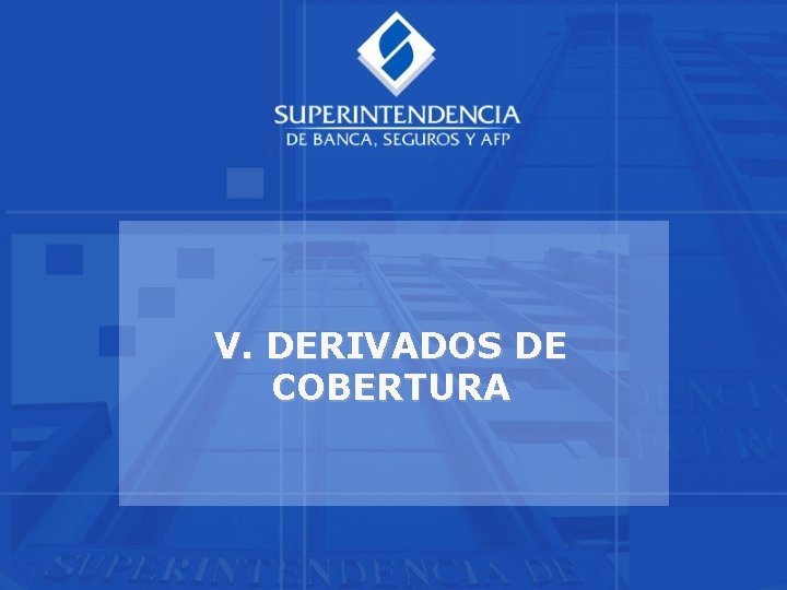V. DERIVADOS DE COBERTURA 