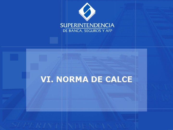 VI. NORMA DE CALCE 