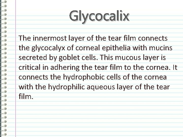 Glycocalix The innermost layer of the tear film connects the glycocalyx of corneal epithelia