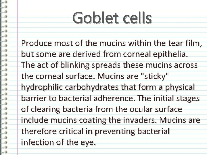 Goblet cells Produce most of the mucins within the tear film, but some are