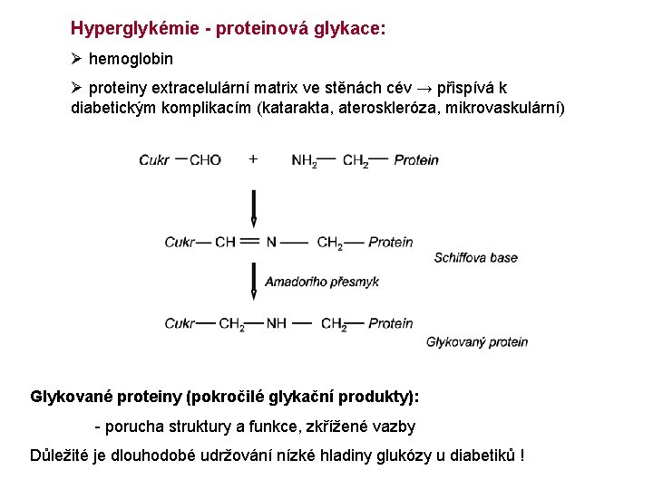 Hyperglykémie - proteinová glykace: Ø hemoglobin Ø proteiny extracelulární matrix ve stěnách cév →
