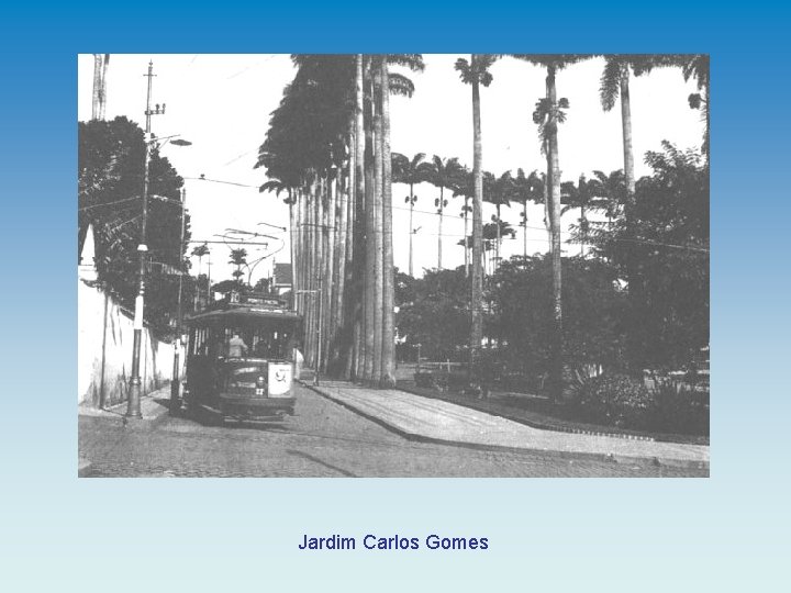 Jardim Carlos Gomes 