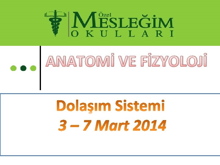 ANATOMİ VE FİZYOLOJİ 