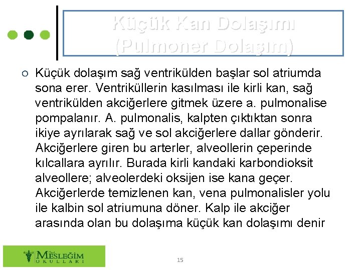 Küçük Kan Dolaşımı (Pulmoner Dolaşım) ○ Küçük dolaşım sağ ventrikülden başlar sol atriumda sona