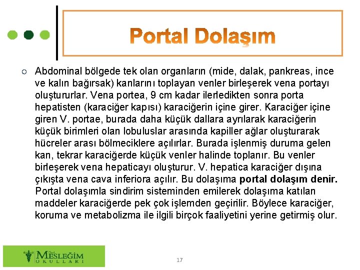 ○ Abdominal bölgede tek olan organların (mide, dalak, pankreas, ince ve kalın bağırsak) kanlarını
