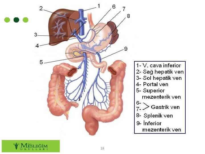 18 