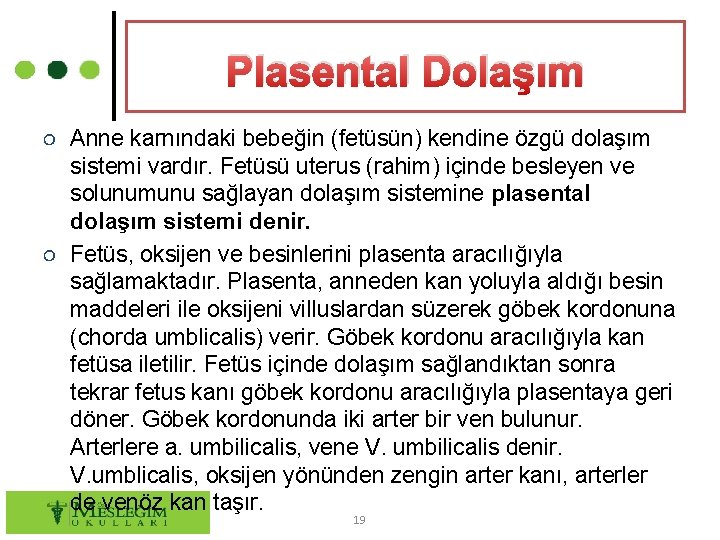 Plasental Dolaşım ○ Anne karnındaki bebeğin (fetüsün) kendine özgü dolaşım sistemi vardır. Fetüsü uterus