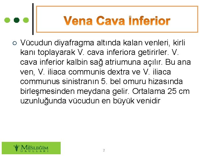 ○ Vücudun diyafragma altında kalan venleri, kirli kanı toplayarak V. cava inferiora getirirler. V.
