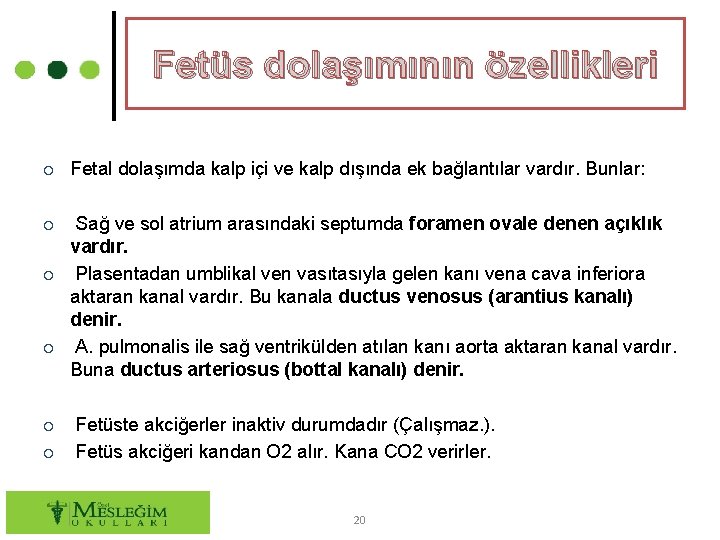 Fetüs dolaşımının özellikleri ○ Fetal dolaşımda kalp içi ve kalp dışında ek bağlantılar vardır.