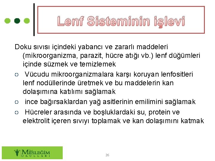 Lenf Sisteminin işlevi Doku sıvısı içindeki yabancı ve zararlı maddeleri (mikroorganizma, parazit, hücre atığı