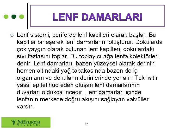 ○ Lenf sistemi, periferde lenf kapilleri olarak başlar. Bu kapiller birleşerek lenf damarlarını oluşturur.