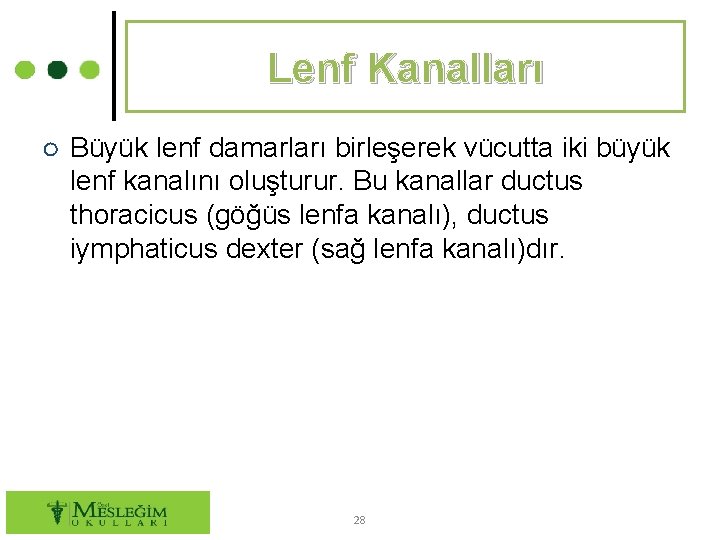 Lenf Kanalları ○ Büyük lenf damarları birleşerek vücutta iki büyük lenf kanalını oluşturur. Bu