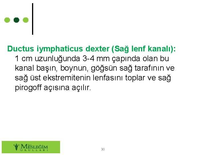 Ductus iymphaticus dexter (Sağ lenf kanalı): 1 cm uzunluğunda 3 -4 mm çapında olan