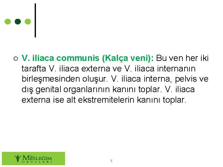 ○ V. iliaca communis (Kalça veni): Bu ven her iki tarafta V. iliaca externa