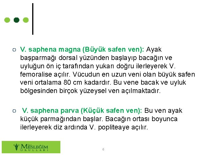 ○ V. saphena magna (Büyük safen ven): Ayak başparmağı dorsal yüzünden başlayıp bacağın ve
