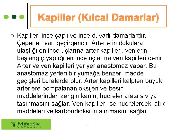 Kapiller (Kılcal Damarlar) ○ Kapiller, ince çaplı ve ince duvarlı damarlardır. Çeperleri yarı geçirgendir.