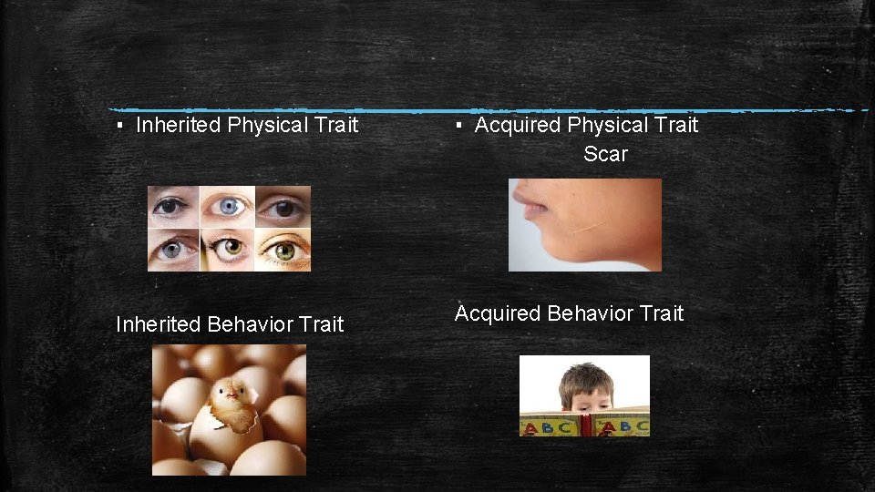 ▪ Inherited Physical Trait ▪ Acquired Physical Trait Scar Inherited Behavior Trait Acquired Behavior