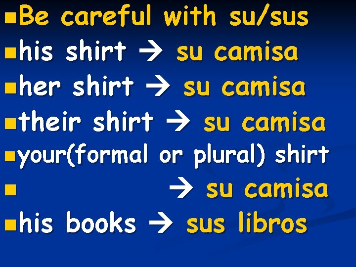 n. Be careful with su/sus nhis shirt su camisa nher shirt su camisa ntheir