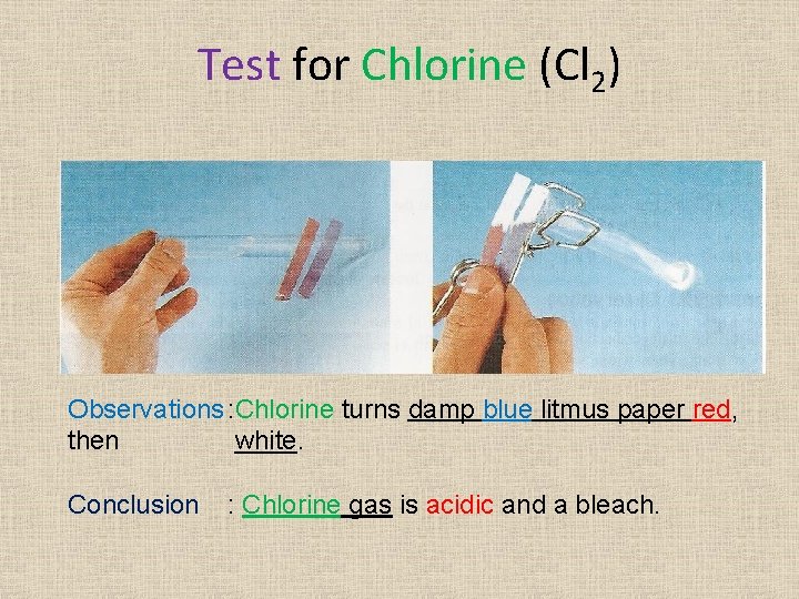 Test for Chlorine (Cl 2) Observations : Chlorine turns damp blue litmus paper red, Test for Chlorine (Cl 2) Observations : Chlorine turns damp blue litmus paper red,