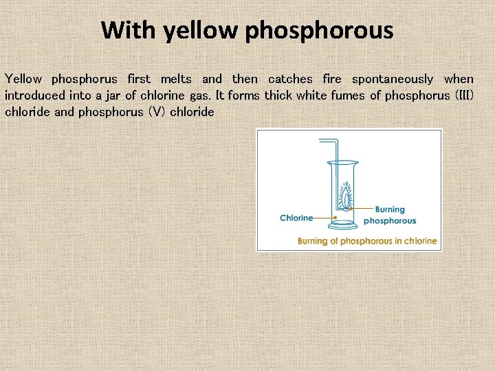 With yellow phosphorous Yellow phosphorus first melts and then catches fire spontaneously when introduced With yellow phosphorous Yellow phosphorus first melts and then catches fire spontaneously when introduced
