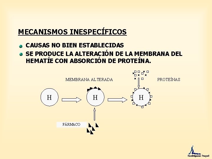 MECANISMOS INESPECÍFICOS CAUSAS NO BIEN ESTABLECIDAS SE PRODUCE LA ALTERACIÓN DE LA MEMBRANA DEL