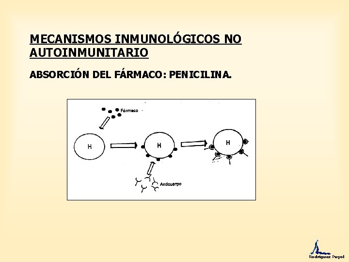 MECANISMOS INMUNOLÓGICOS NO AUTOINMUNITARIO ABSORCIÓN DEL FÁRMACO: PENICILINA. Rodríguez Puyol 