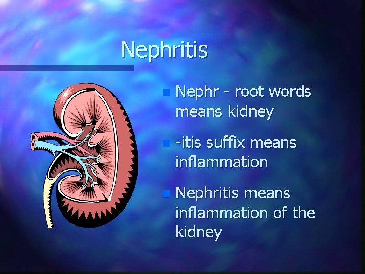 Nephritis n Nephr - root words means kidney n -itis suffix means inflammation n