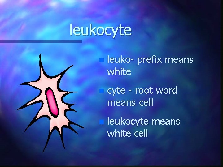 leukocyte n leuko- prefix means white n cyte - root word means cell n