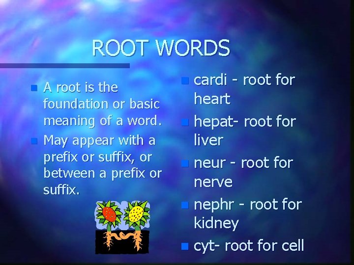 ROOT WORDS n n A root is the foundation or basic meaning of a