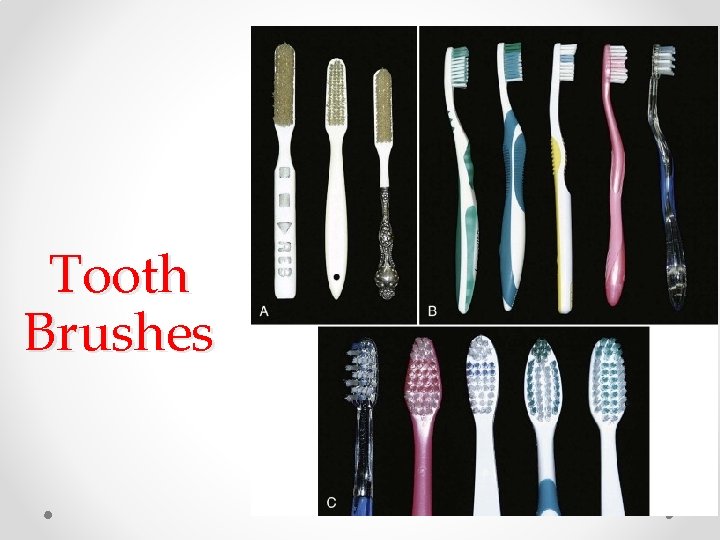 Tooth Brushes Tooth Brushes