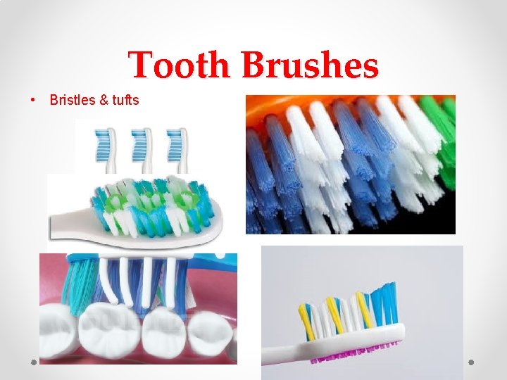 Tooth Brushes • Bristles & tufts Tooth Brushes • Bristles & tufts