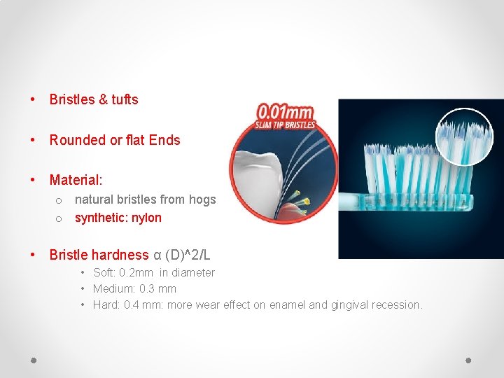 • Bristles & tufts • Rounded or flat Ends • Material: o natural • Bristles & tufts • Rounded or flat Ends • Material: o natural