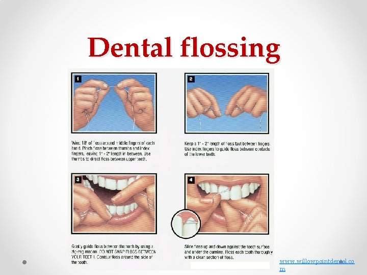Dental flossing www. willowpointdental. co m Dental flossing www. willowpointdental. co m