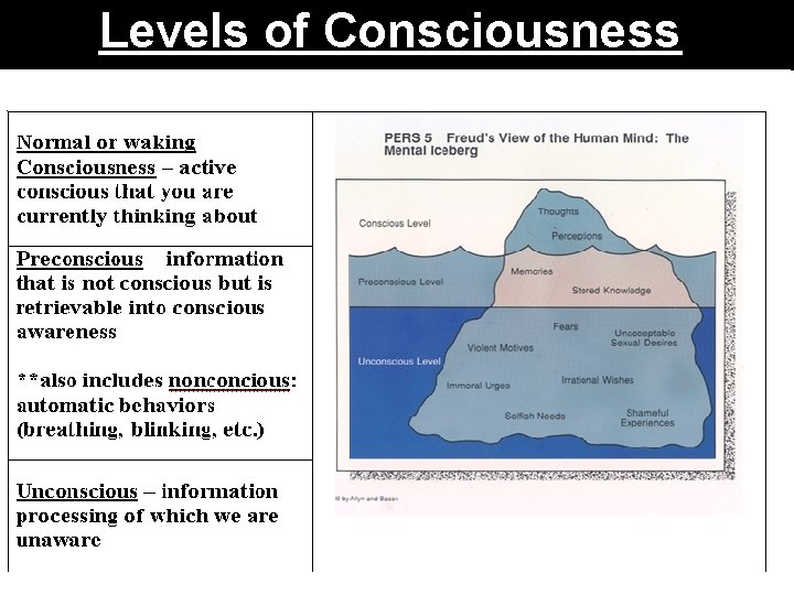 Levels of Consciousness 