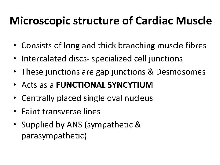 Microscopic structure of Cardiac Muscle • • Consists of long and thick branching muscle