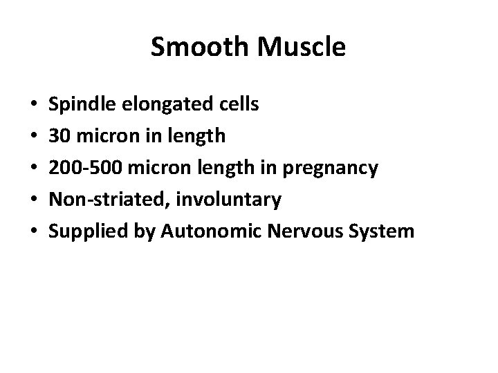 Smooth Muscle • • • Spindle elongated cells 30 micron in length 200 -500