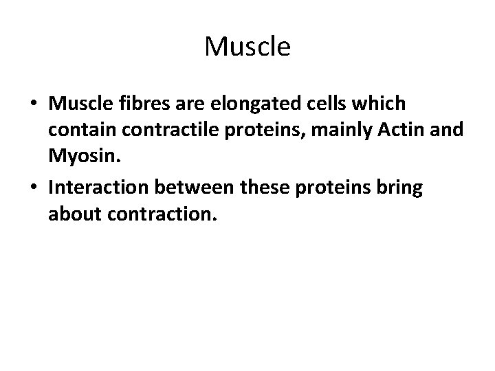 Muscle • Muscle fibres are elongated cells which contain contractile proteins, mainly Actin and