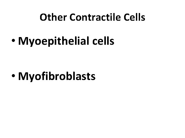 Other Contractile Cells • Myoepithelial cells • Myofibroblasts 