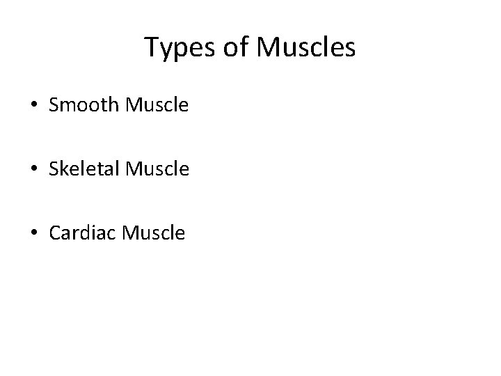 Types of Muscles • Smooth Muscle • Skeletal Muscle • Cardiac Muscle 