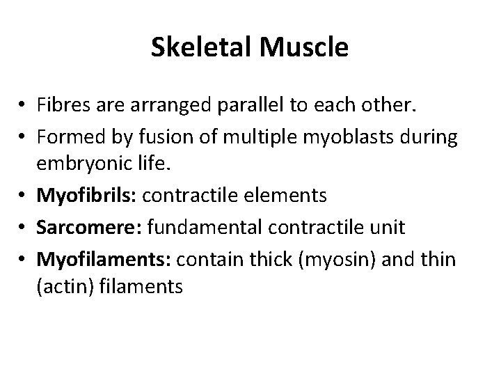 Skeletal Muscle • Fibres are arranged parallel to each other. • Formed by fusion