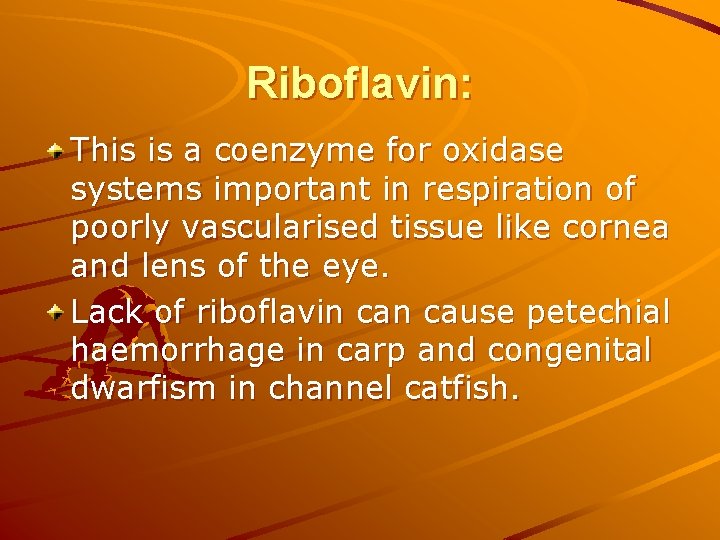 Riboflavin: This is a coenzyme for oxidase systems important in respiration of poorly vascularised Riboflavin: This is a coenzyme for oxidase systems important in respiration of poorly vascularised
