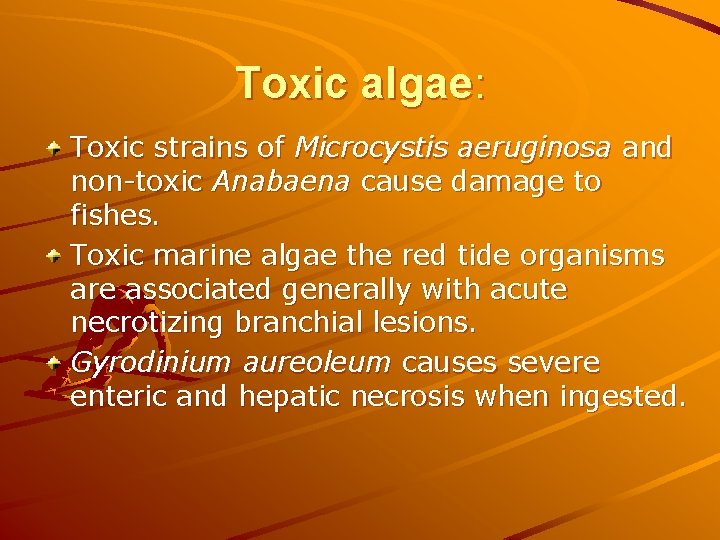 Toxic algae: Toxic strains of Microcystis aeruginosa and non-toxic Anabaena cause damage to fishes. Toxic algae: Toxic strains of Microcystis aeruginosa and non-toxic Anabaena cause damage to fishes.