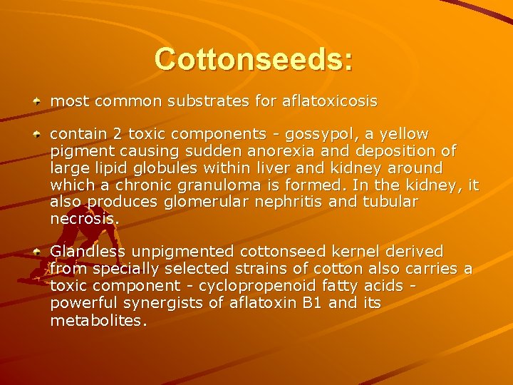 Cottonseeds: most common substrates for aflatoxicosis contain 2 toxic components - gossypol, a yellow Cottonseeds: most common substrates for aflatoxicosis contain 2 toxic components - gossypol, a yellow