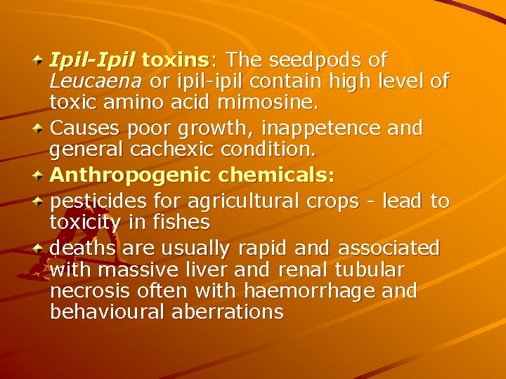 Ipil-Ipil toxins: The seedpods of Leucaena or ipil-ipil contain high level of toxic amino Ipil-Ipil toxins: The seedpods of Leucaena or ipil-ipil contain high level of toxic amino