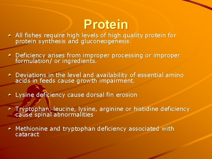 Protein All fishes require high levels of high quality protein for protein synthesis and Protein All fishes require high levels of high quality protein for protein synthesis and