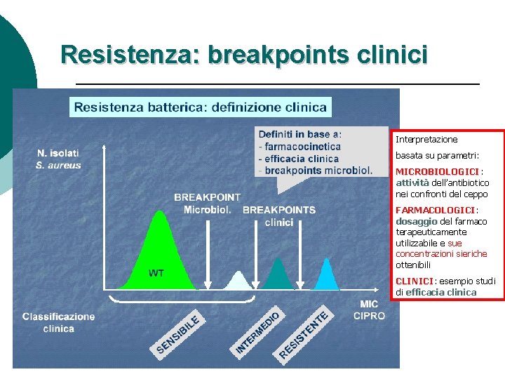 Resistenza: breakpoints clinici Interpretazione basata su parametri: MICROBIOLOGICI attività dell’antibiotico nei confronti del ceppo