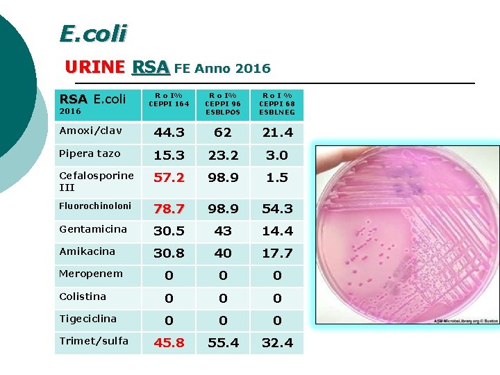 E. coli URINE RSA FE Anno 2016 RSA E. coli R o I% CEPPI