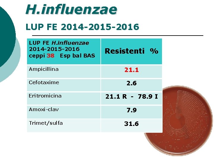 H. influenzae LUP FE 2014 -2015 -2016 LUP FE H. influenzae 2014 -2015 -2016